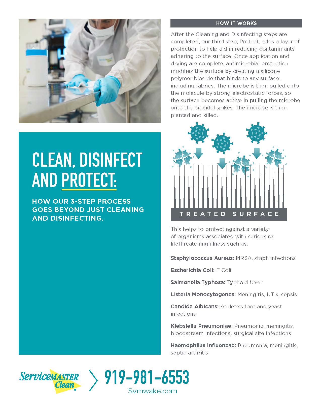 CLEAN, DISINFECT AND PROTECT